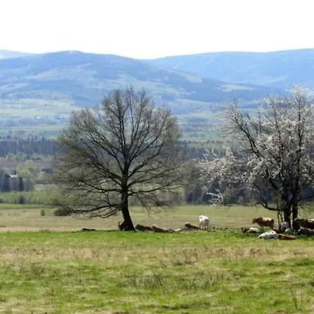 In Gajowka Mit Terrasse Und Garten By Interhome *