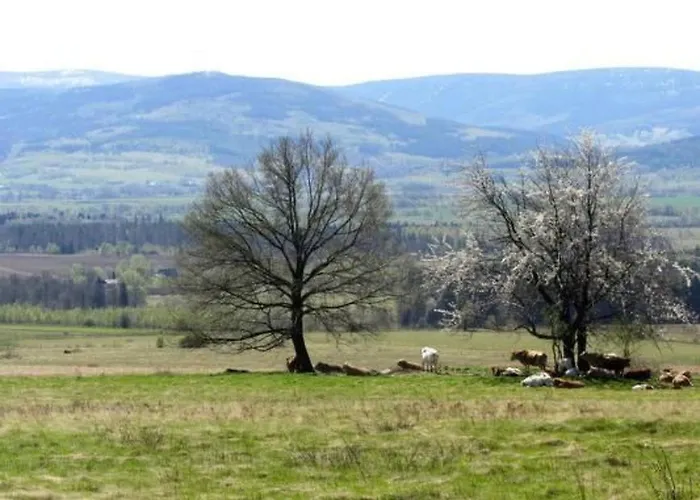 In Gajowka Mit Terrasse Und Garten By Interhome *